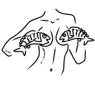 AYEFISHER